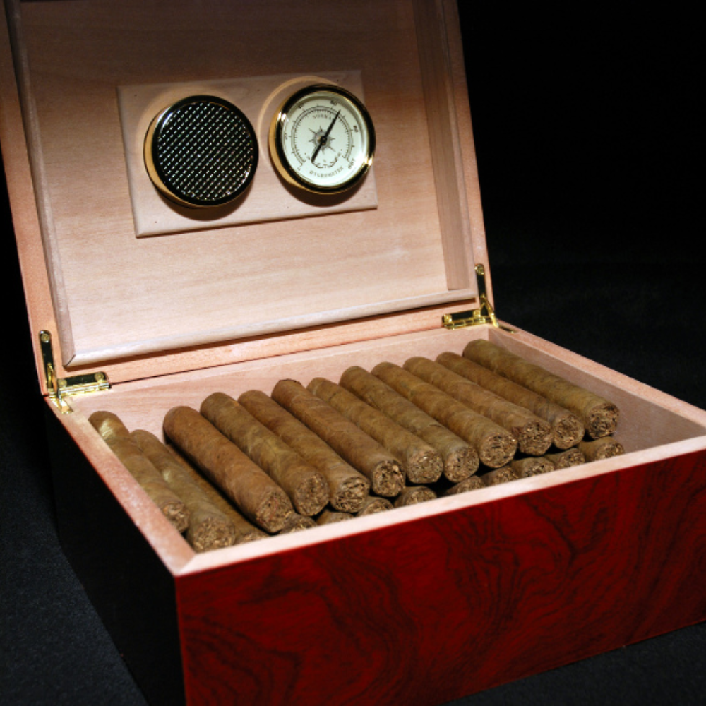 Какие жуки живут в хьюмидоре