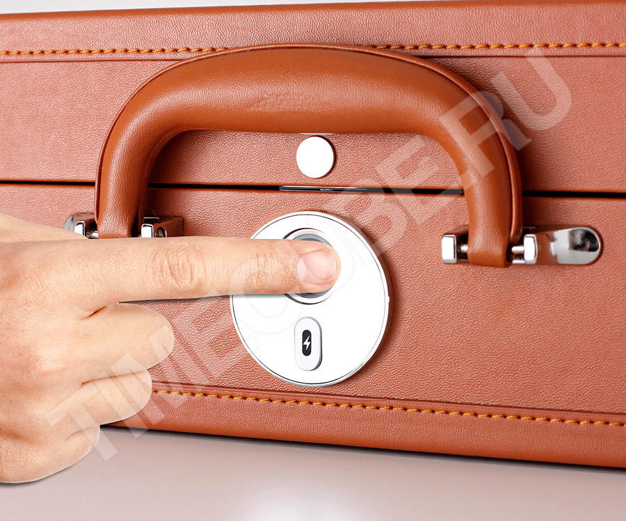 Коричневый кейс для часов LT-36BRF-SPU-T-P 