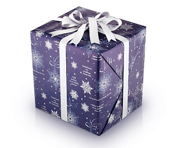 Снежная ночь